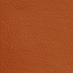eco 06