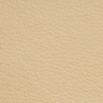 eco 12