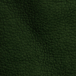 eco 41