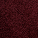 eco 42