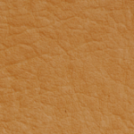 PV-7